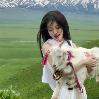 爱你,维克托第二季 在线观看