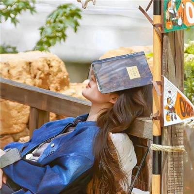 狙击女妙探 在线观看